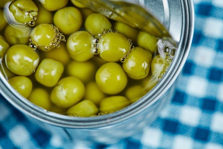 فروش زیتون جنگلی
